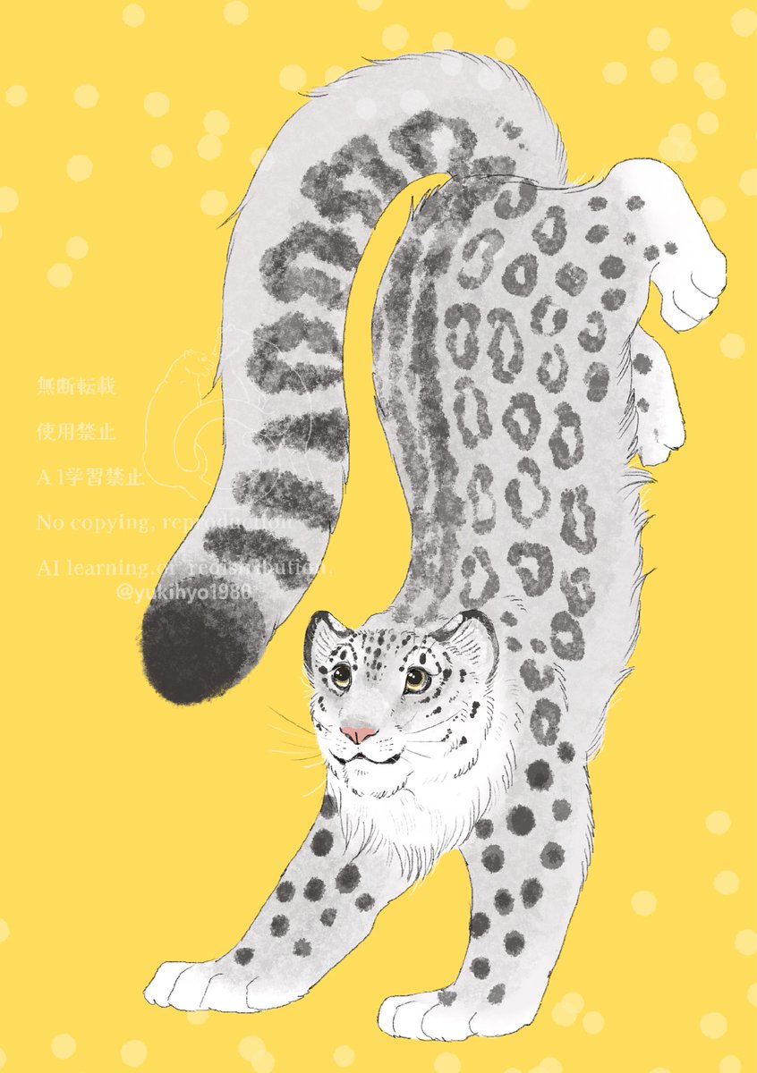 ゆきひょー❕ tweet media