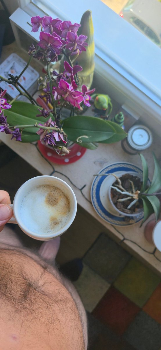 Kindguy_90 tweet media