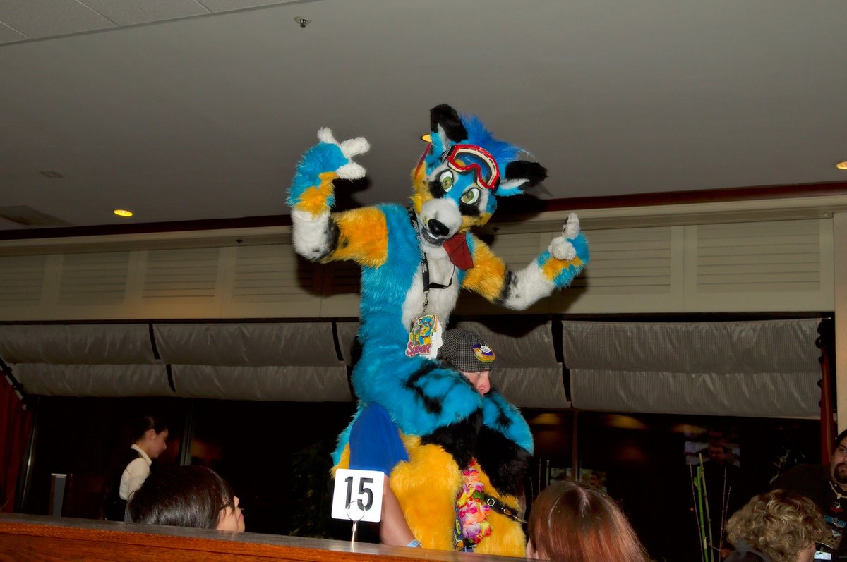 RhapsodyBarks tweet media