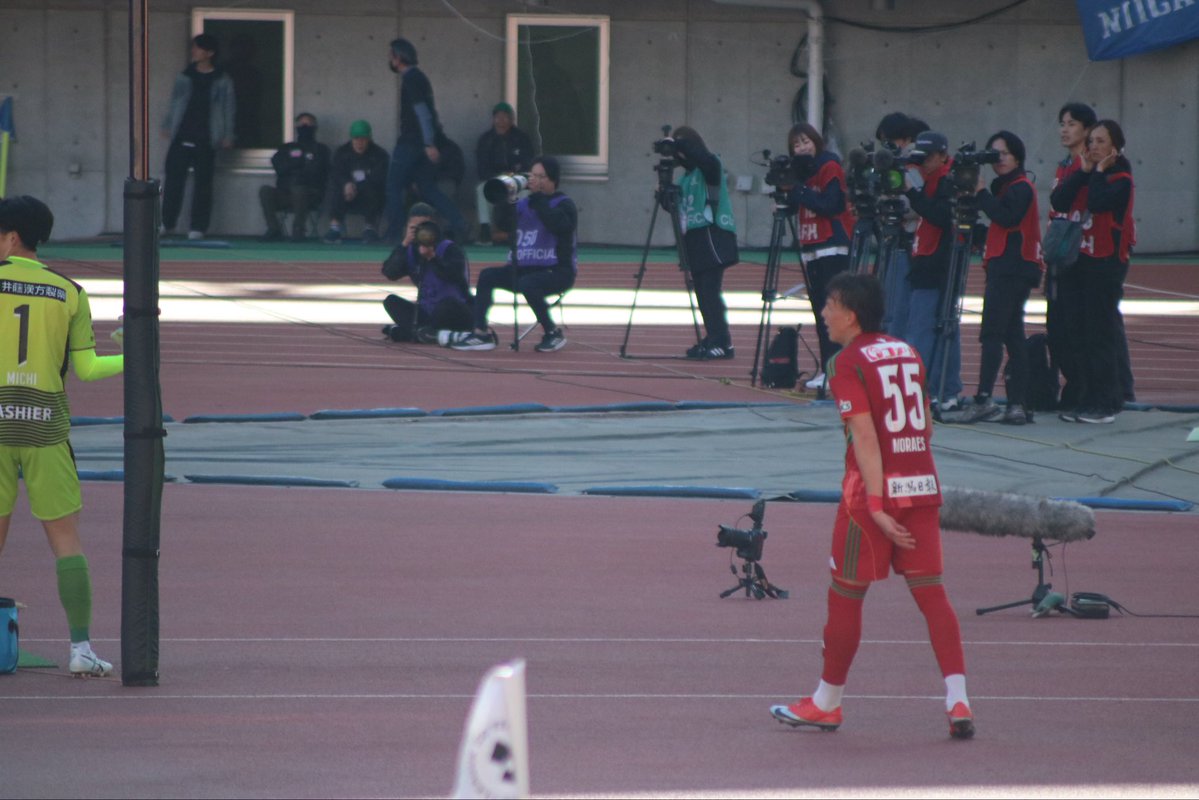 あお🦢🫶 tweet media