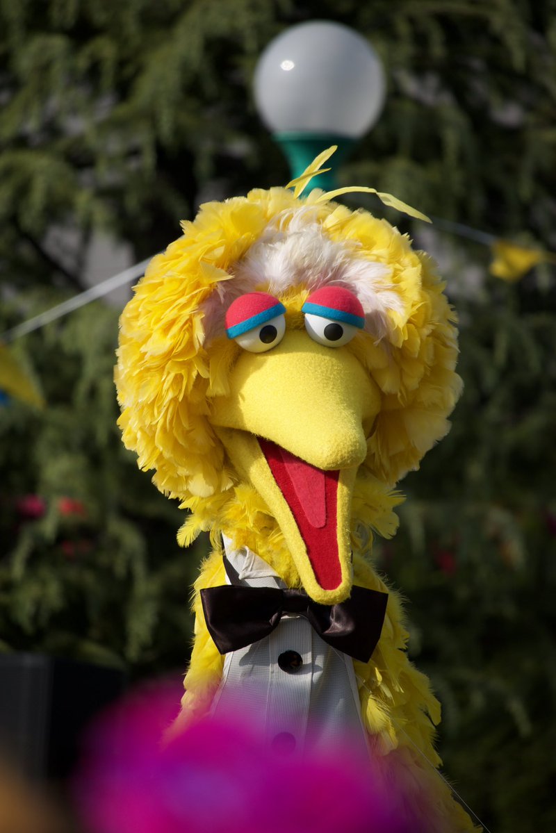 ともんが🌎🦈🦖🍌✨️ tweet media