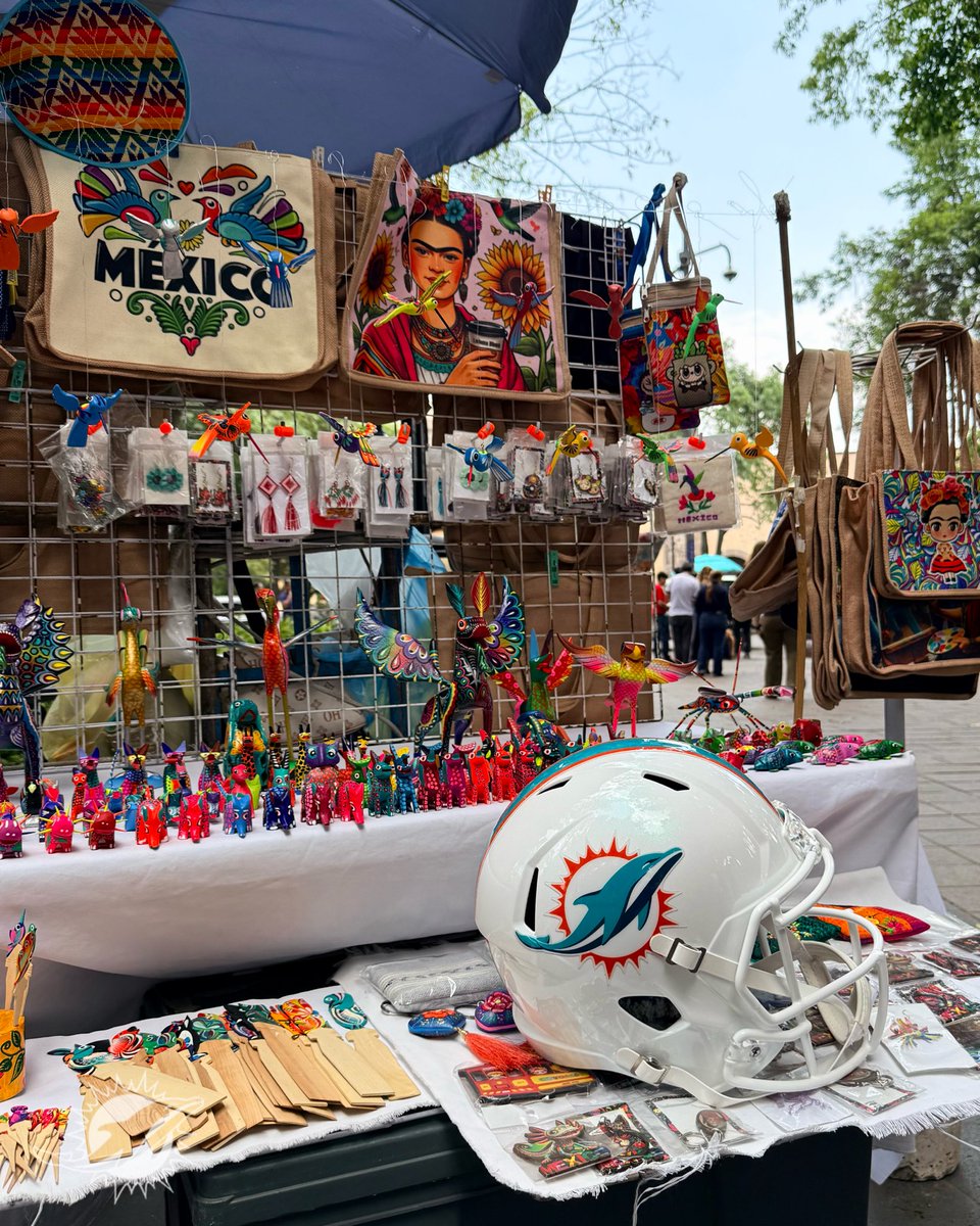 Dolphins en Español tweet media