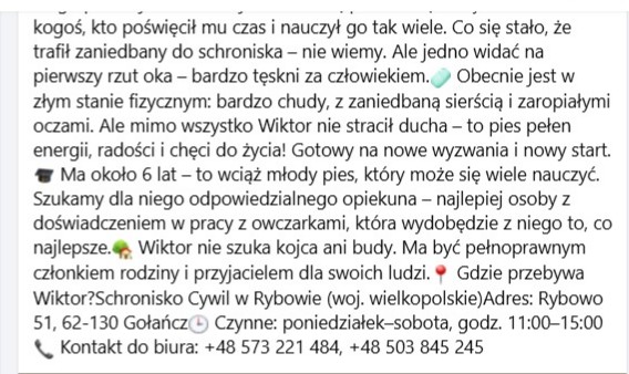 Robwalka Wolf tweet media