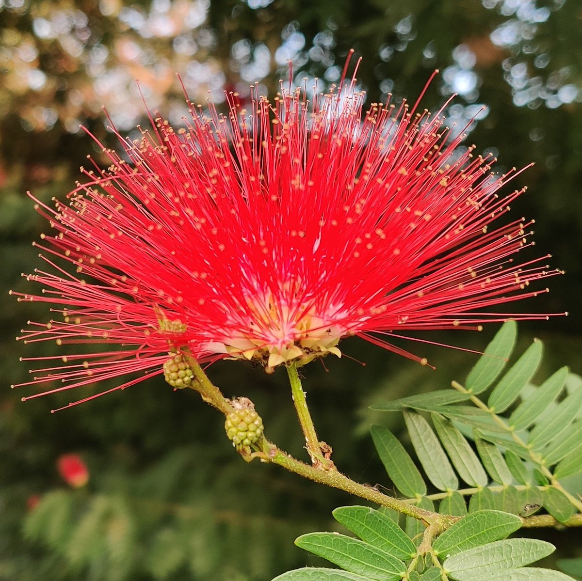 Nutan Barve tweet media