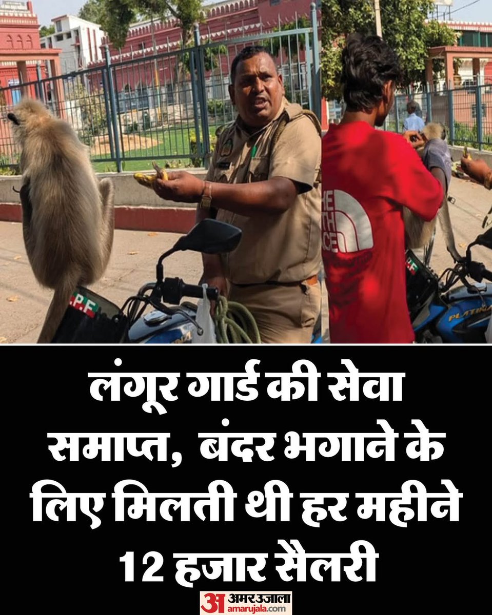 Null_Theory_'s tweet image. Golu the Langur:

•   Got the job. ✅

•    Secured the ₹12k bag. ✅

•    Got "restructured" 2 days later. ❌

In this economy, not even a professional monkey-scarer is safe from downsizing.

Stay strong, Golu. 🐒🍌

#LayoffSeason #MonkeyBusiness