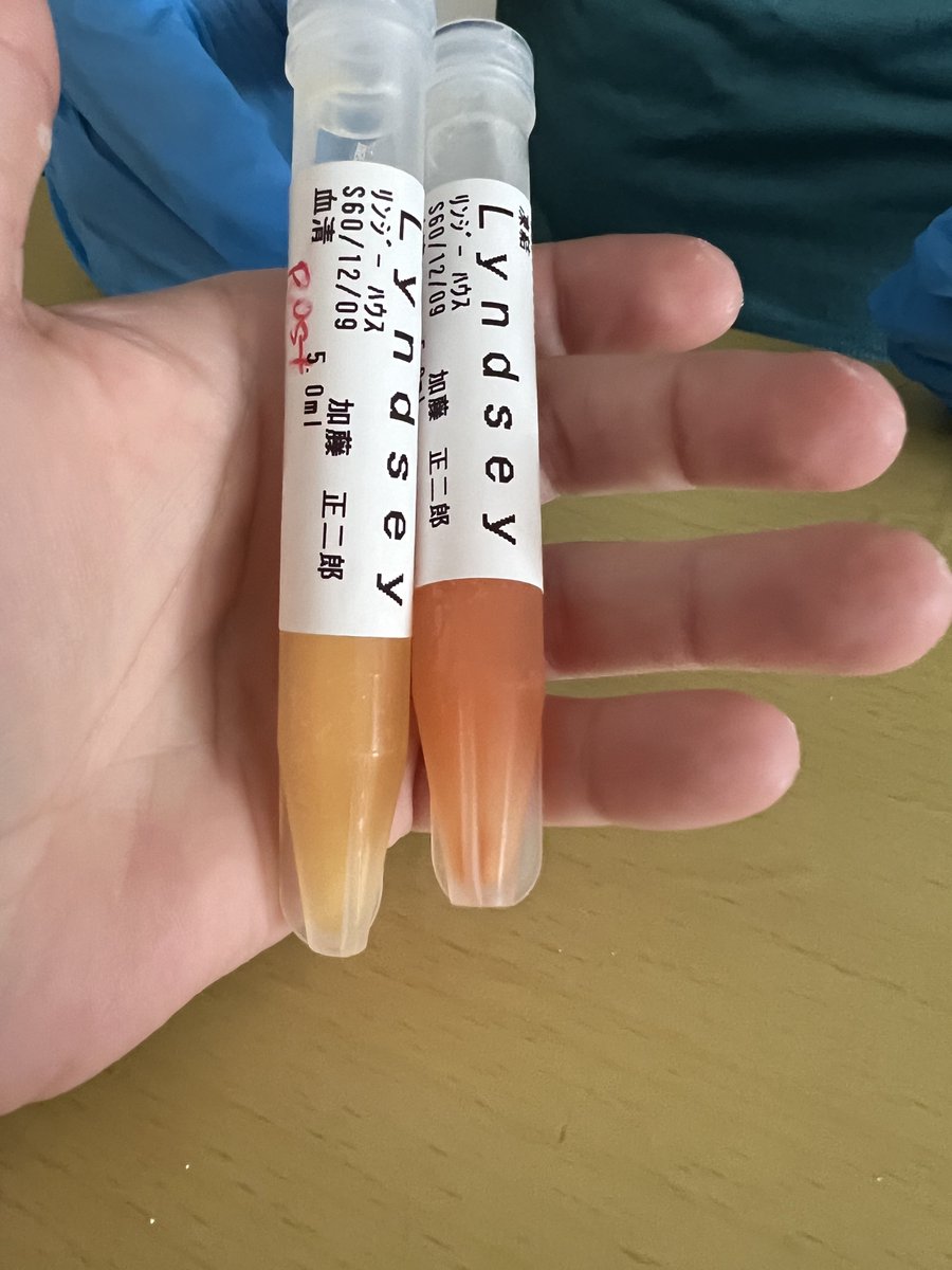 Lyndsey, RN 💜🐭 tweet media