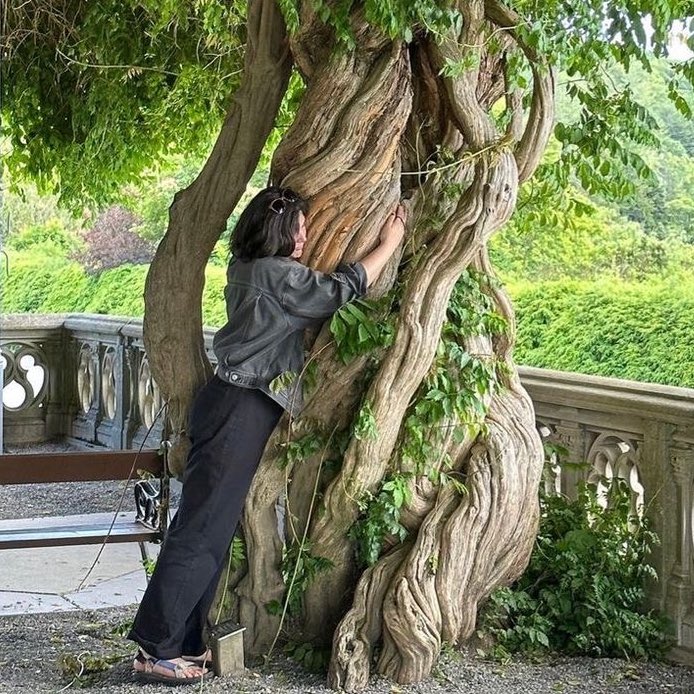 moll 𝜗𝜚 tweet media