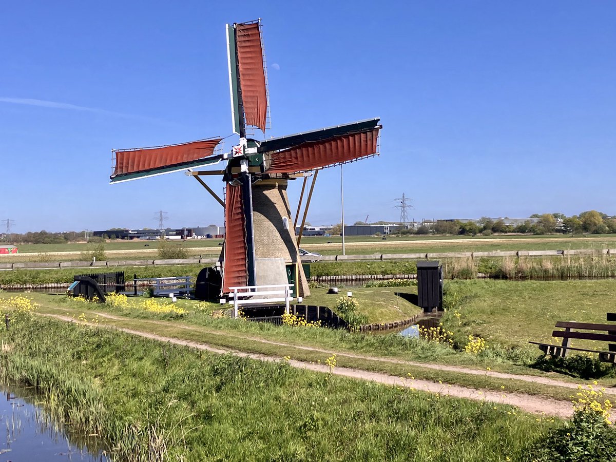 Dick van der Plas tweet media