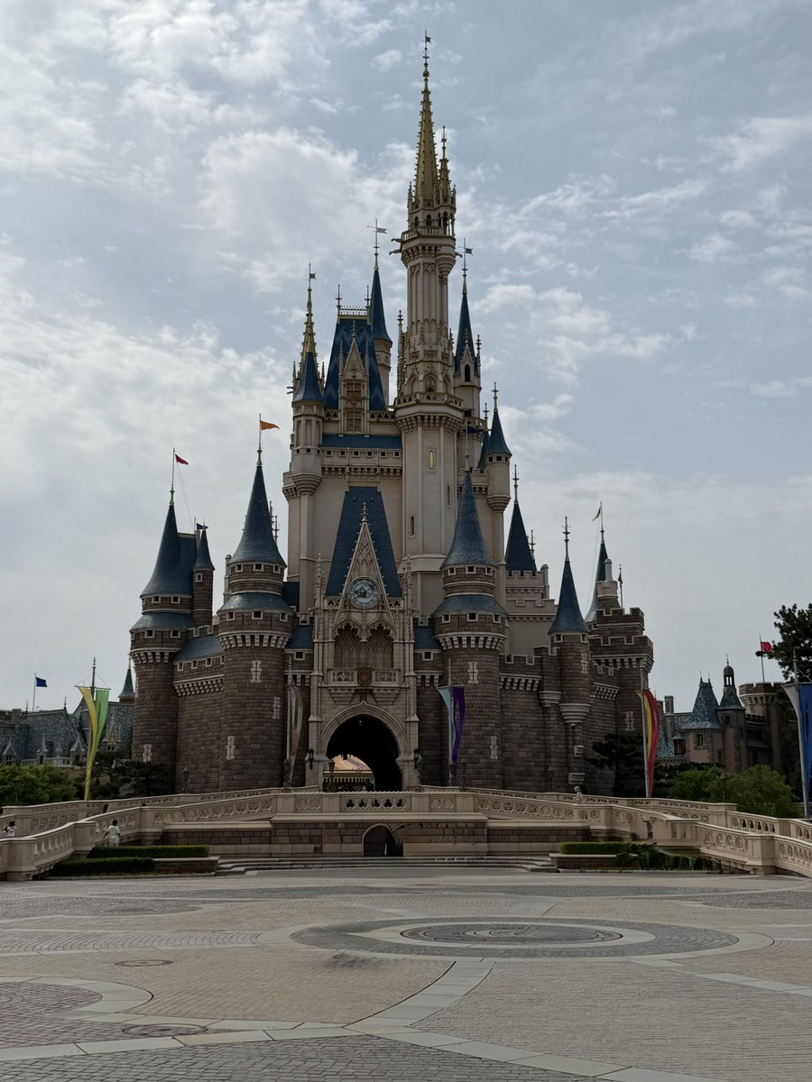 rotonyan 🍣 tweet media