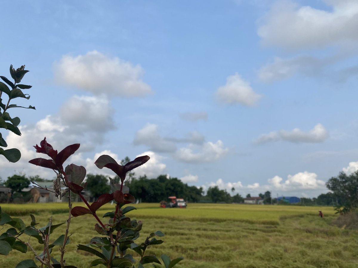 Sương ở Huế thương | May tweet media