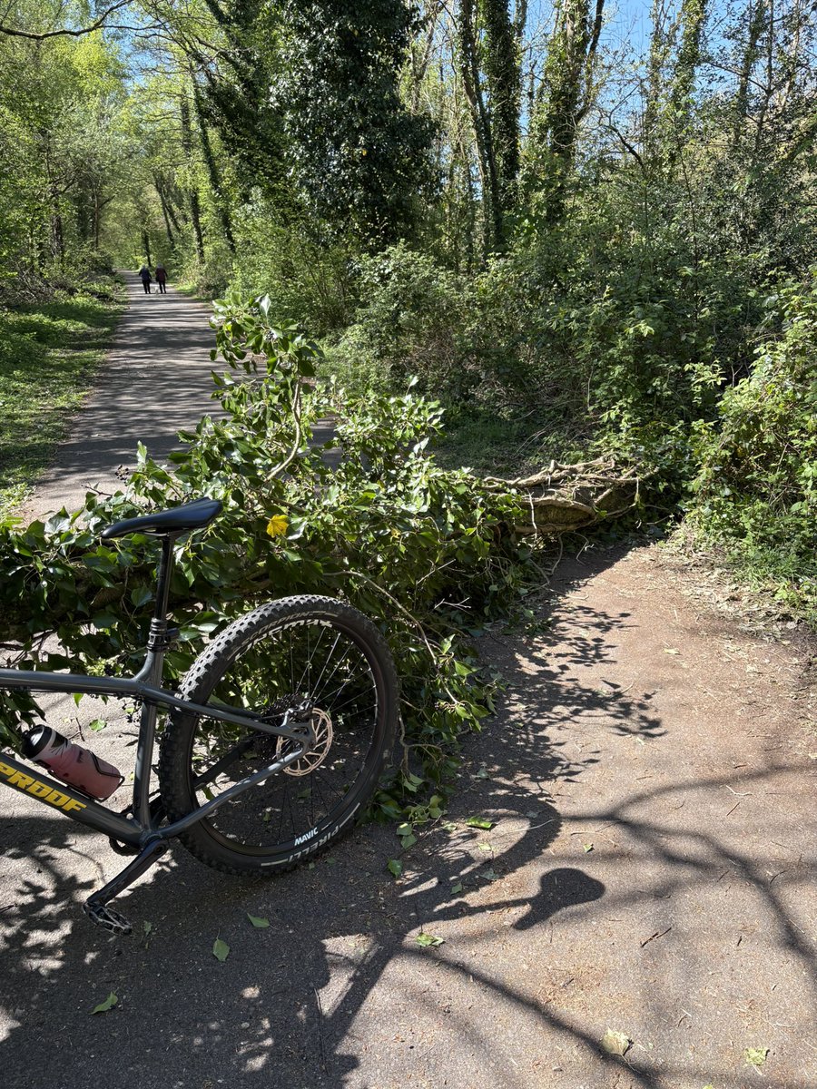 matrowlands's tweet photo. Tree down on Sirhowy link @CaerphillyCBC https://t.co/LQcxHD44cI