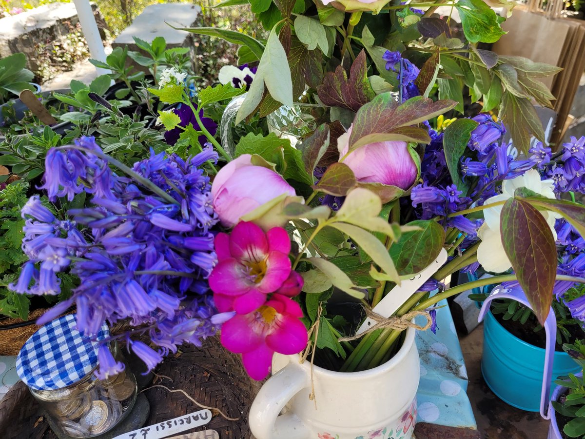 dovecotenursery's tweet photo. Beautiful peonies and freesias on the table today in my cut flower arrangements #anglesey #local #seasonal #xhef https://t.co/ZYxGxiyqTh