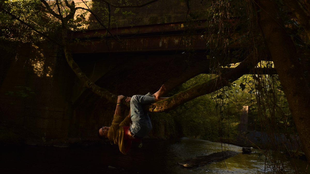 Весняна кульбабка tweet media