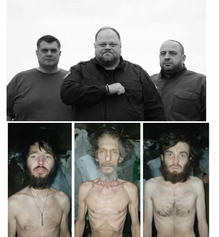 ✙(KNO₃+S+C)*25%✙ tweet media