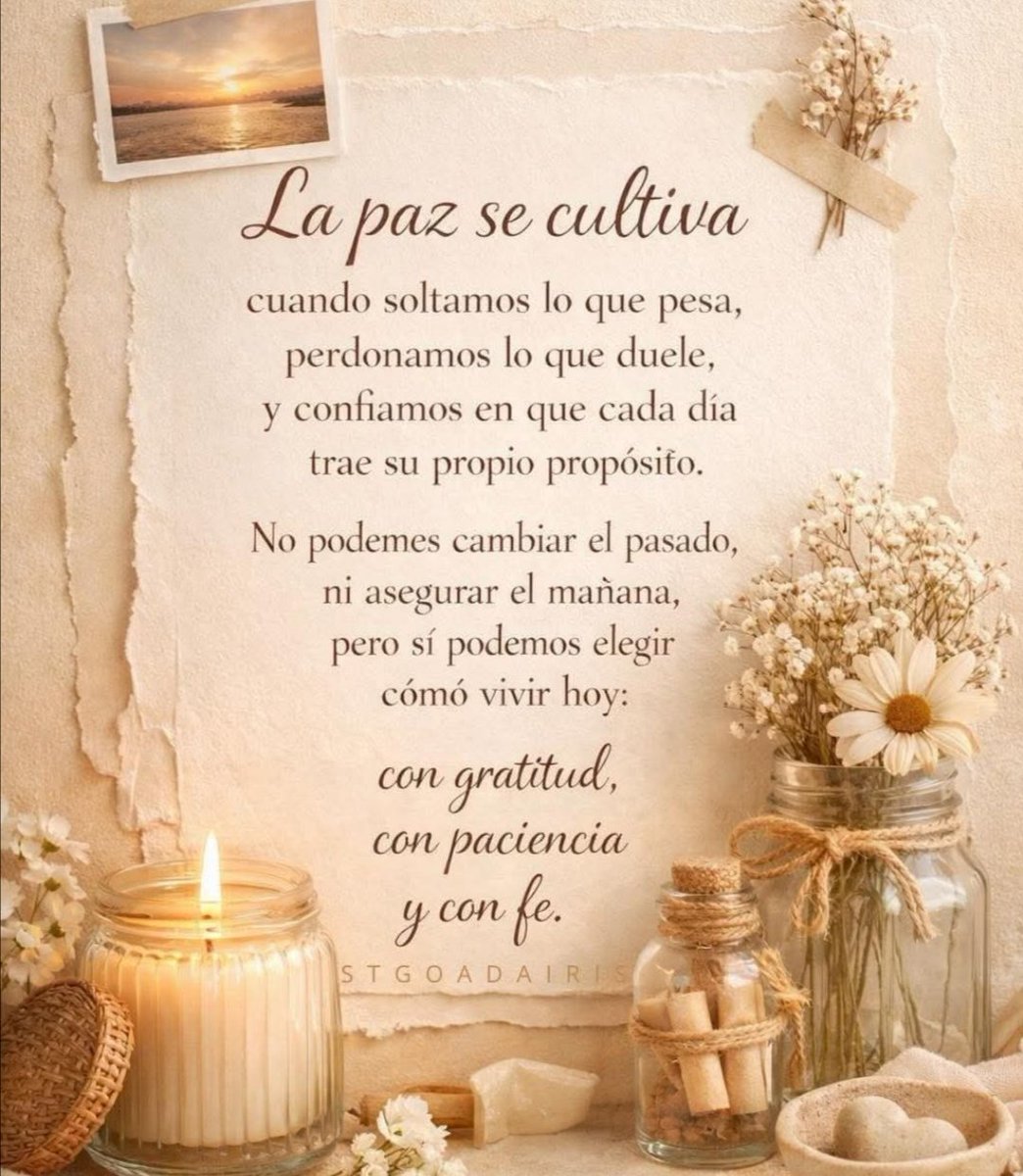 Tana Borsotto B. 🌷🐩🐕🐈🌺 tweet media