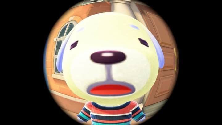 쿠 tweet media