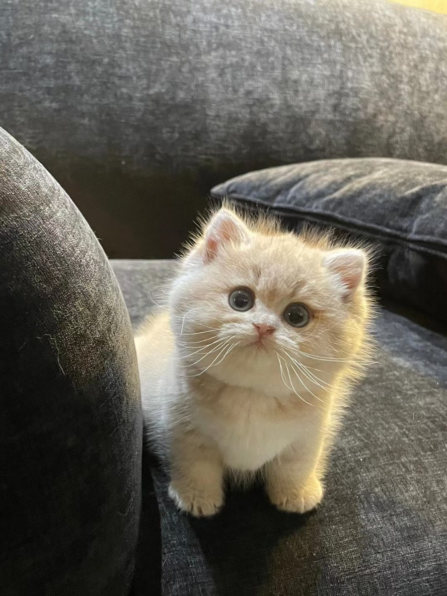 Kate Wiley tweet media