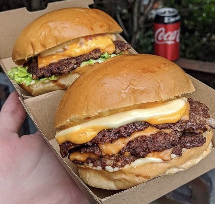 Adventure Bloom tweet media