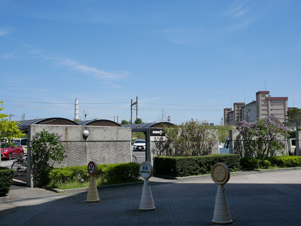 びでおん tweet media