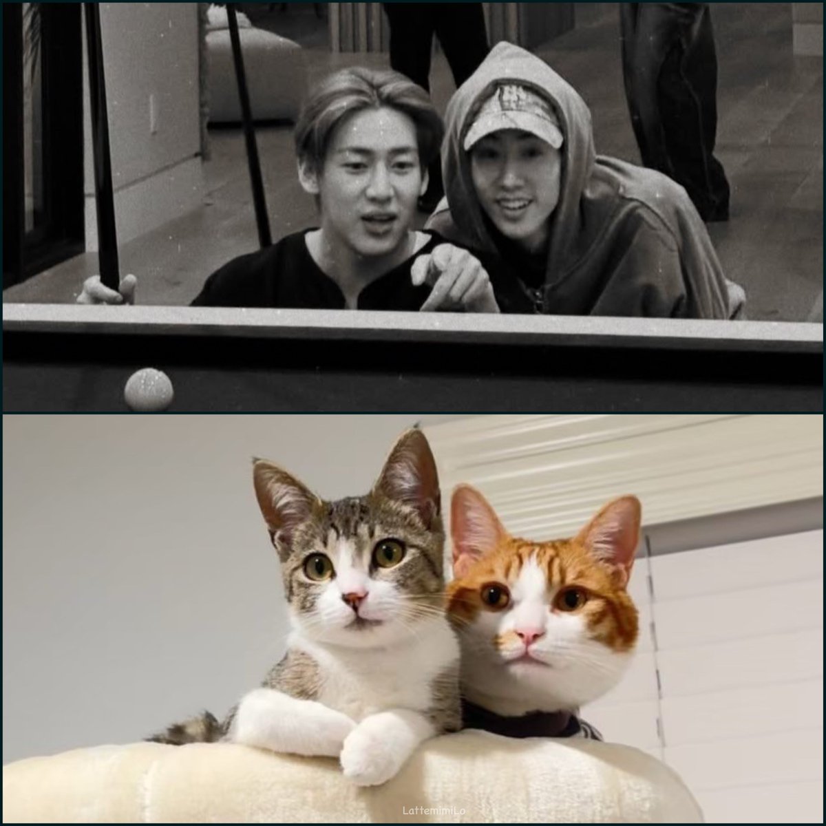 𝙻𝚊𝚝𝚝𝚎𝙼𝚒𝙼𝚒^𝕄𝔹^ 🐍😎🐰 tweet media