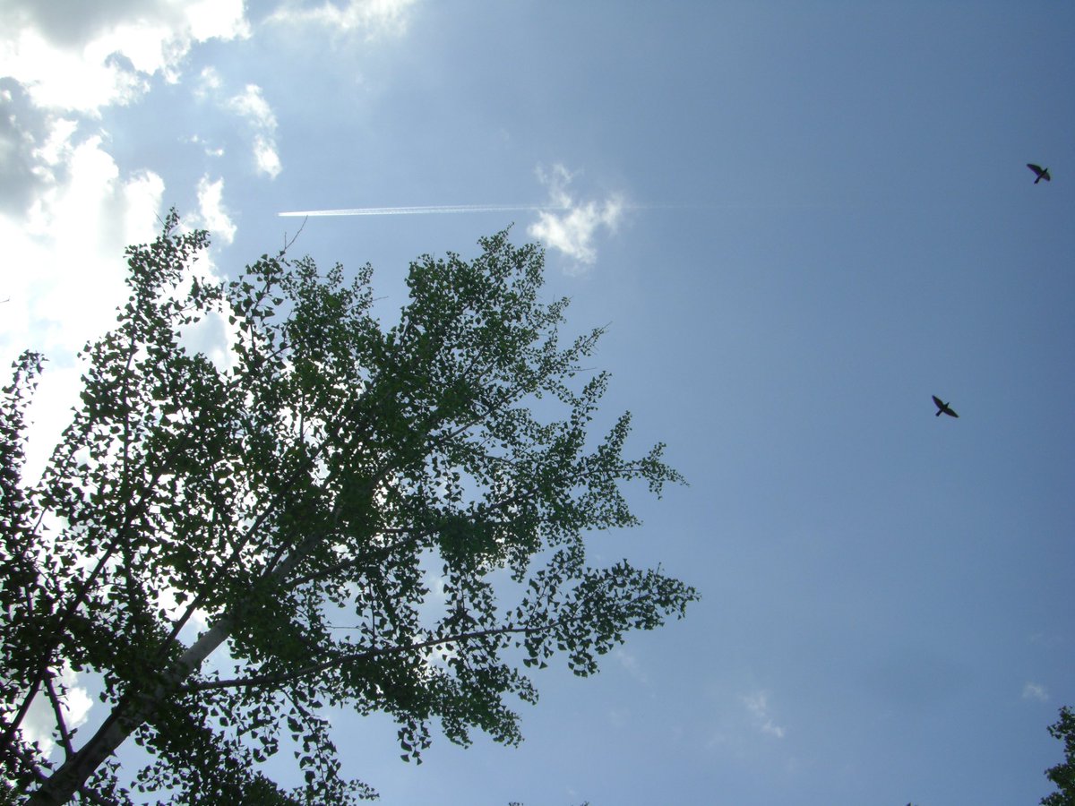 うな！ tweet media