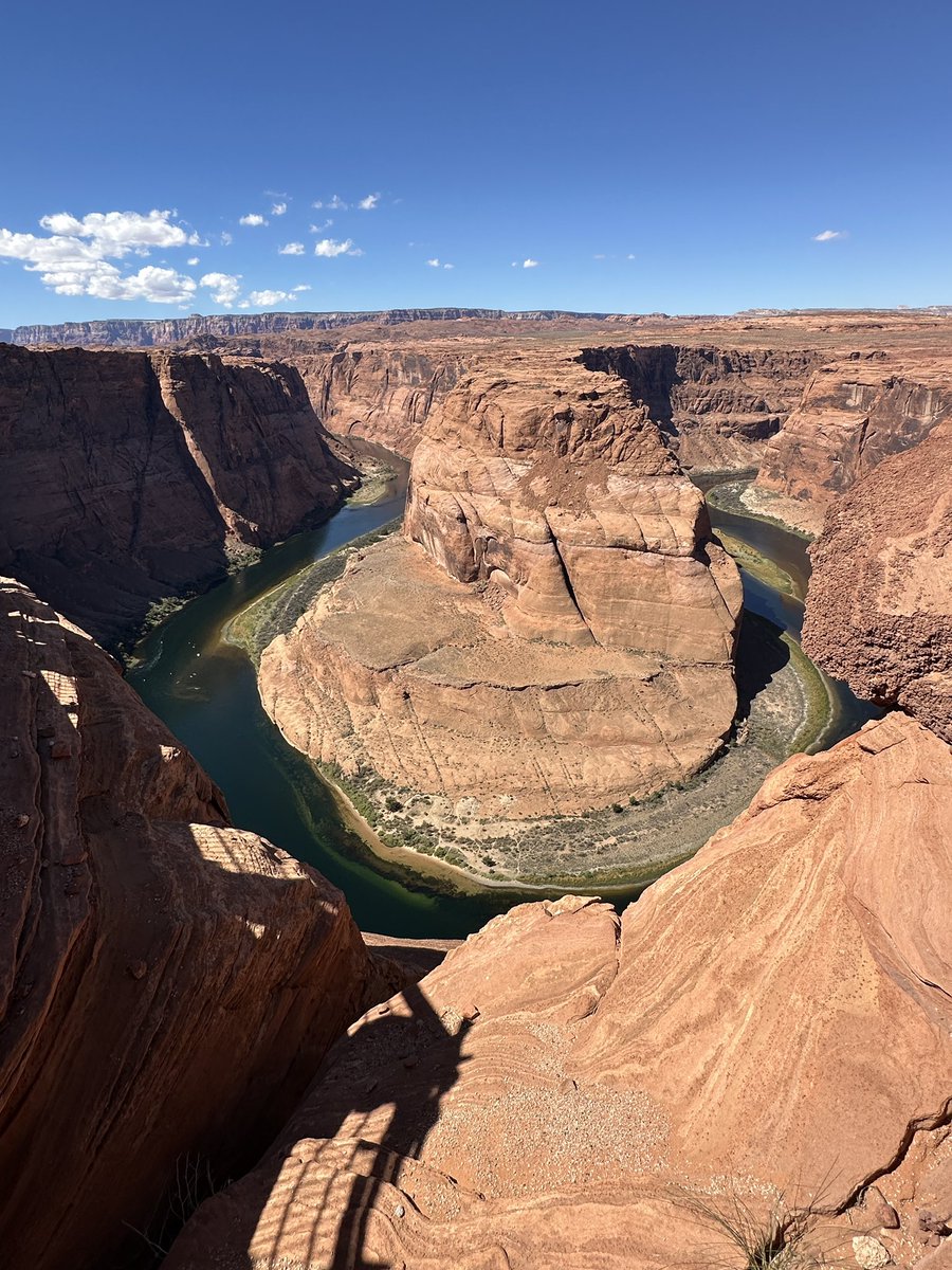 Appodlachia tweet media