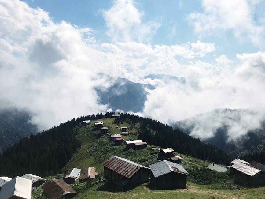 Marilyn Carter tweet media