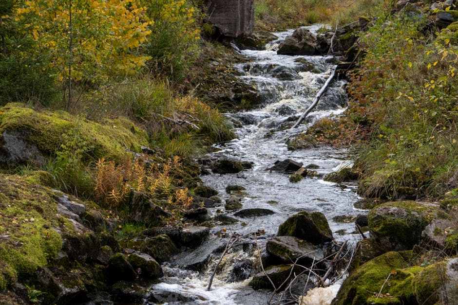 Arthur Kirk tweet media