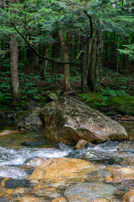 Brandon Johnson tweet media