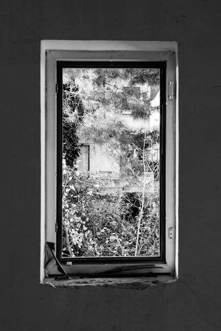 Brandon Johnson tweet media