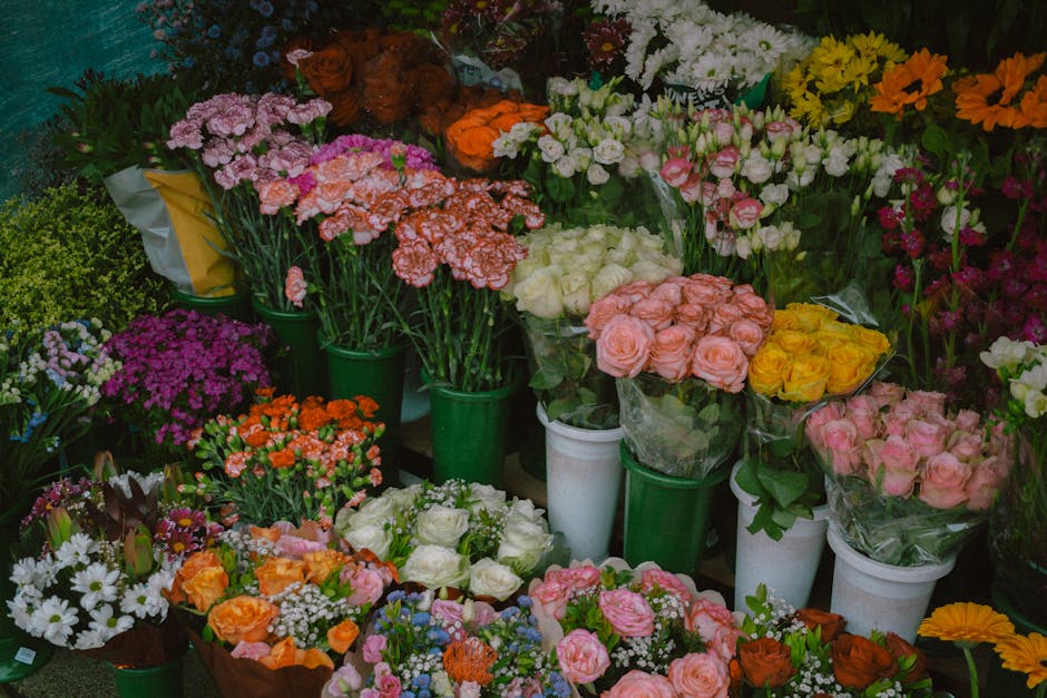 Ashley Jackson tweet media