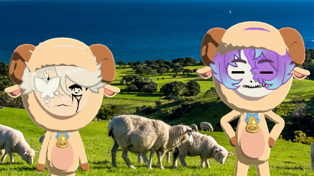 (,,ꕥ︿⊗,,)っ🔪‧₊ tweet media