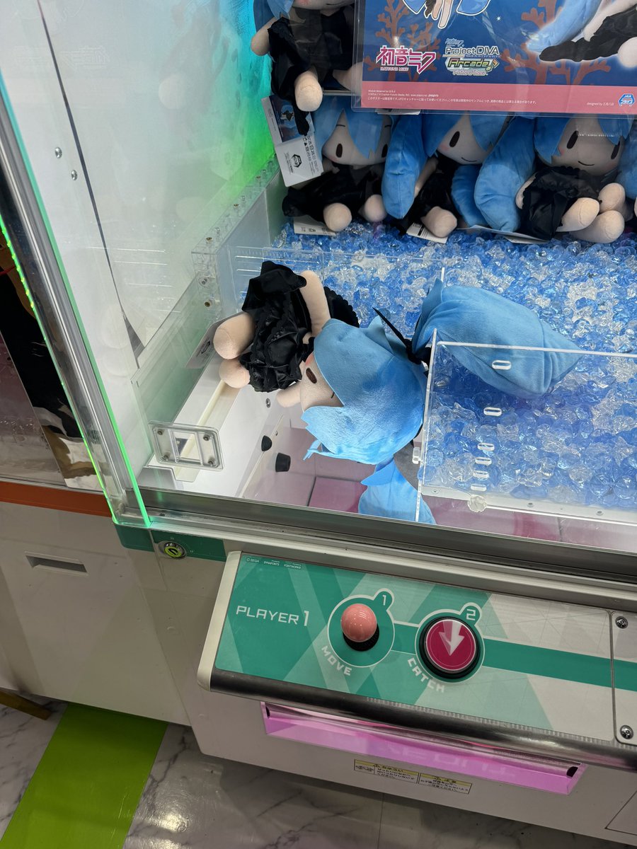 江田豆 tweet media