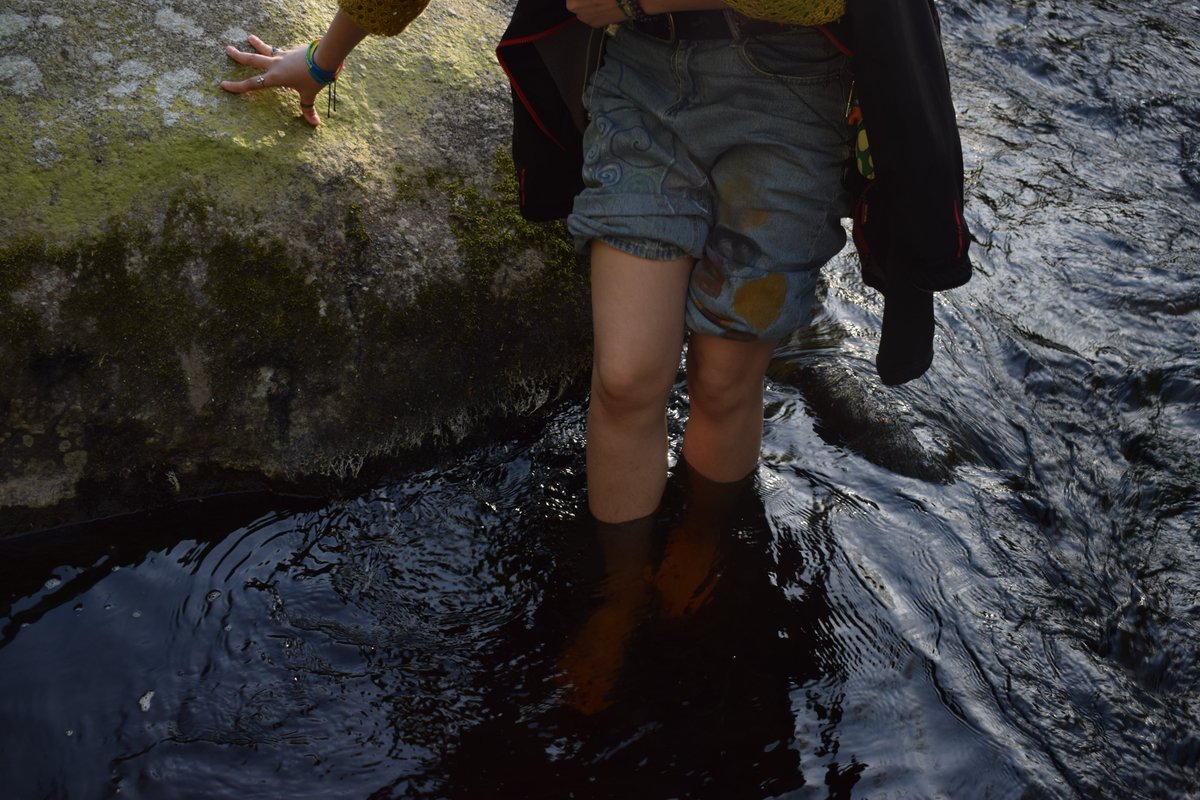 Весняна кульбабка tweet media