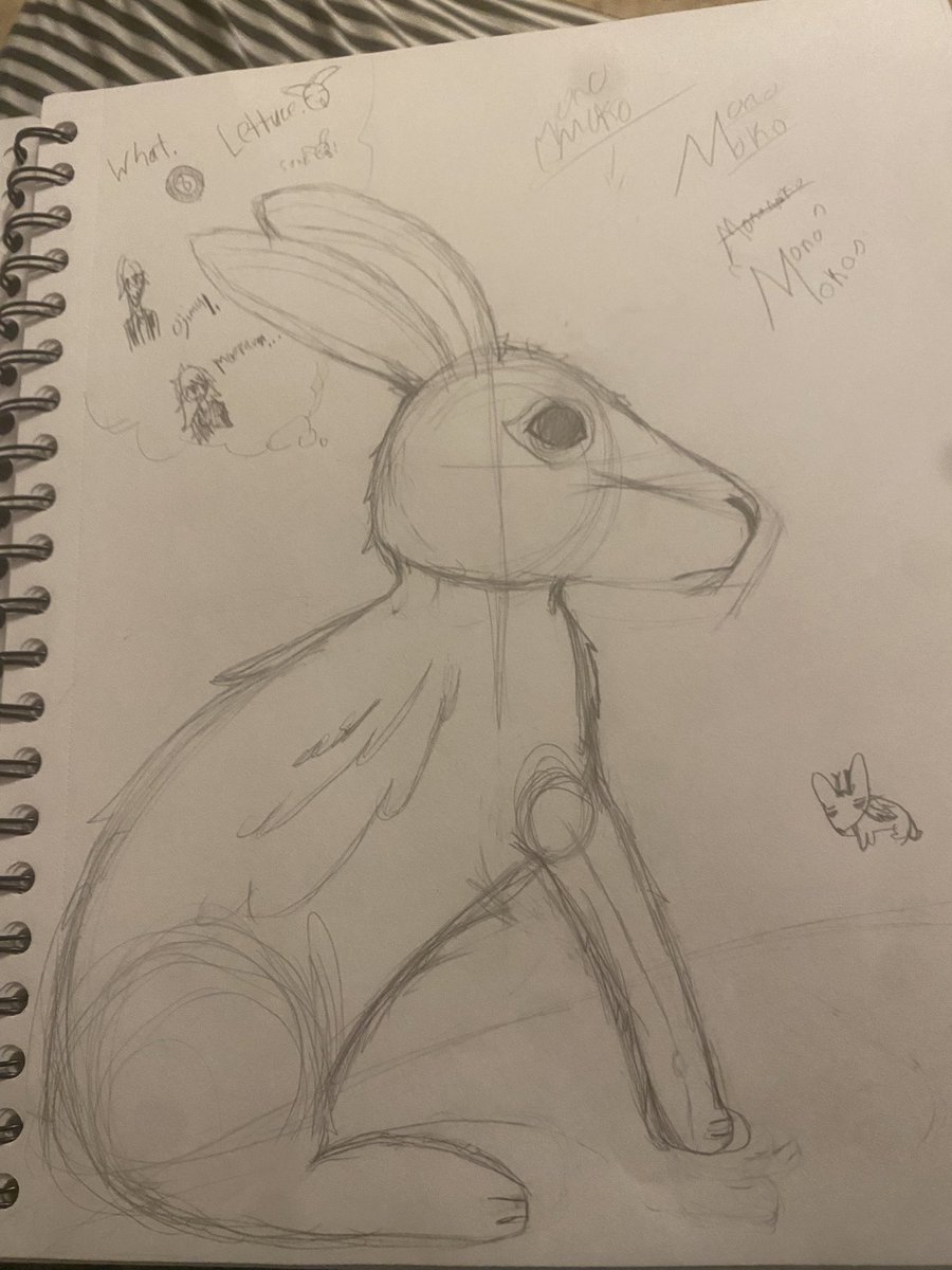 ꒰ ִ ֺ ⊹ 🇵🇸 Kitsune ⊹ ֺ ִ ꒱ tweet media