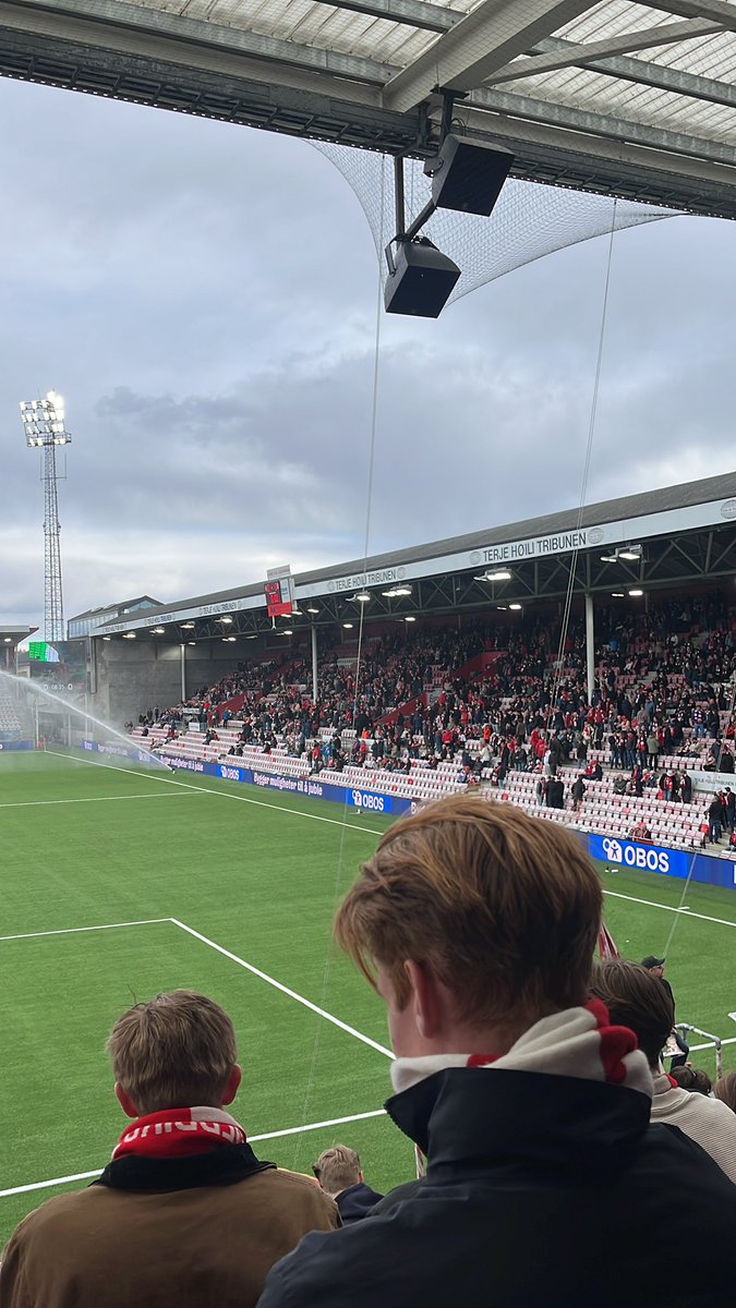 Viking (H)