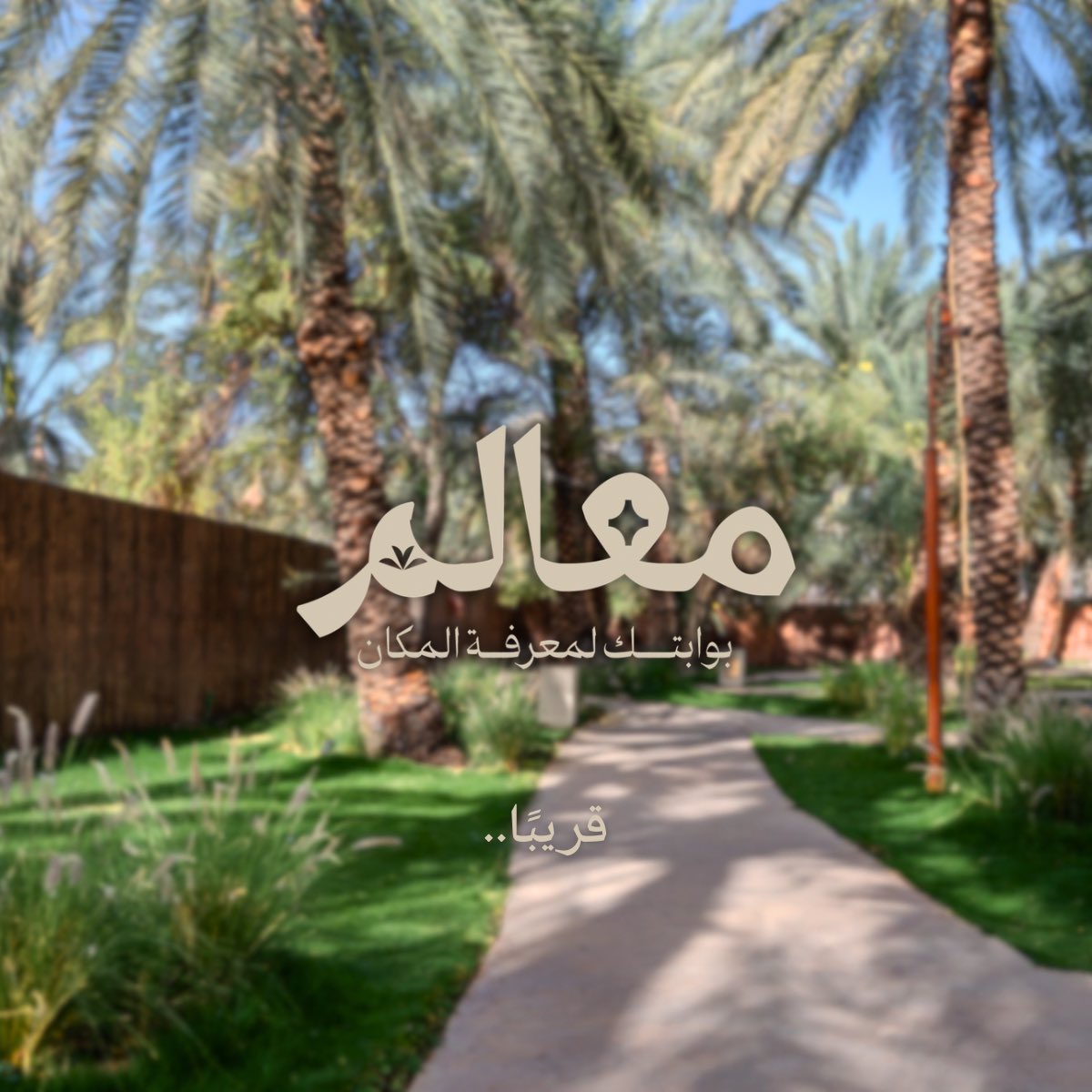 مـعالم tweet media