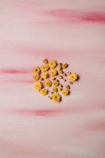 Daniel Crawford tweet media