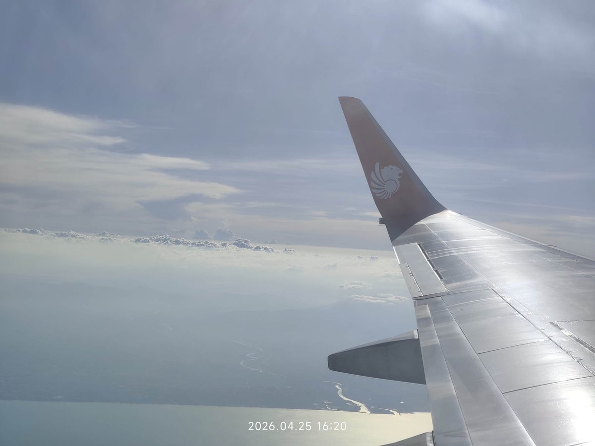 LoVely Tiger tweet media