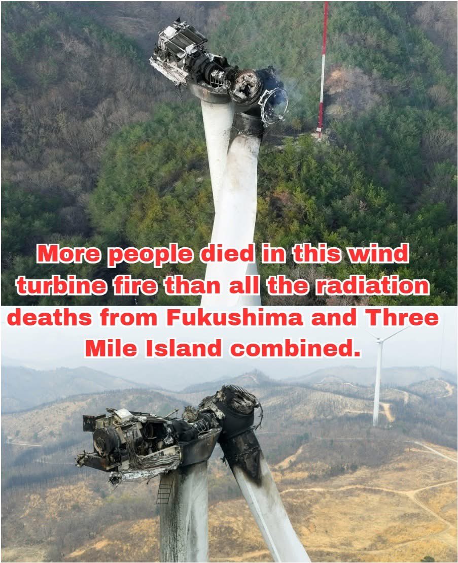 danishnuclear's tweet photo. Just saying 🤷‍♂️👇 https://t.co/F8lXhDALMZ