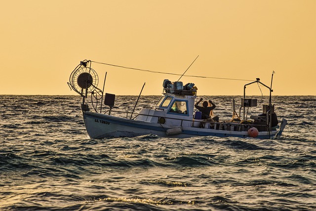 Susan Hogan tweet media