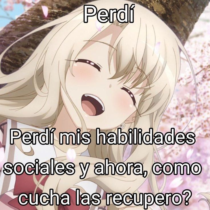 Kioko tweet media