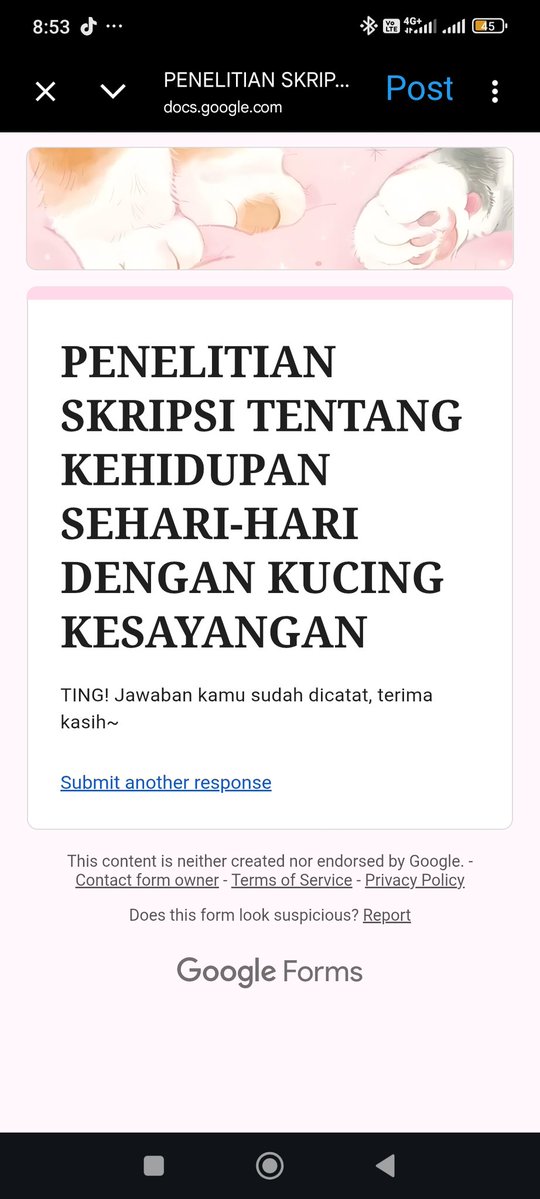 mai 🇵🇸🍉 tweet media