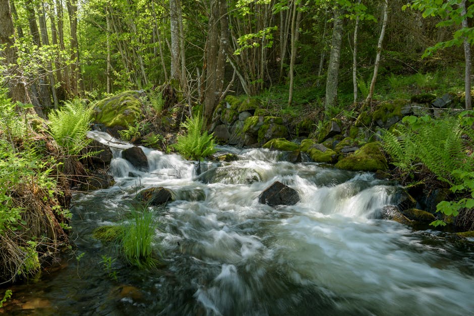 Dustin Wells tweet media