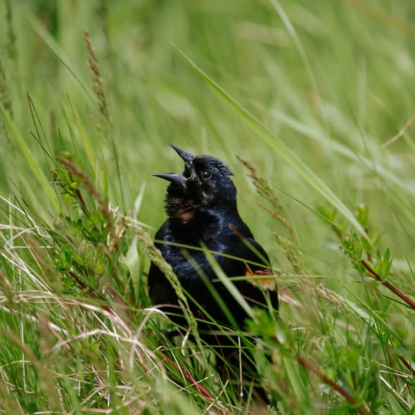 Conservation Ontario tweet media