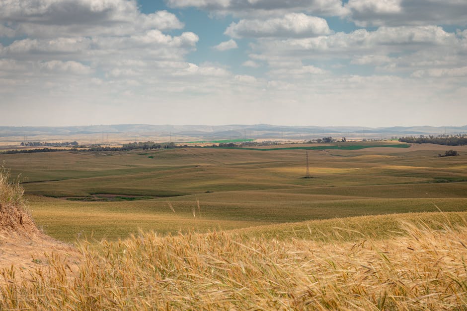 Heather Mullen tweet media