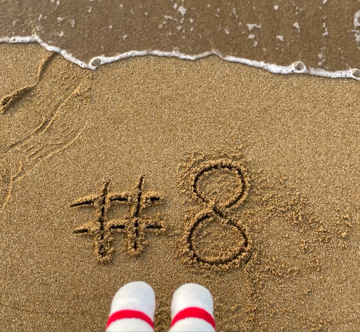 ハクナマタタ tweet media