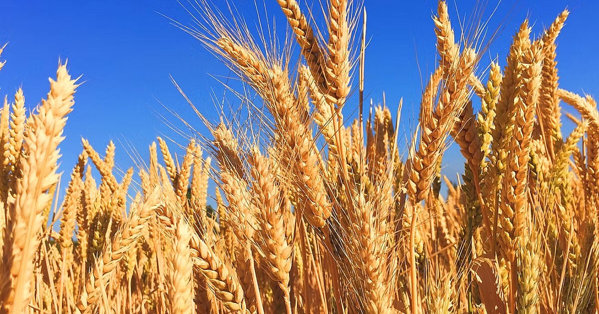 The Heroic Mindset tweet media