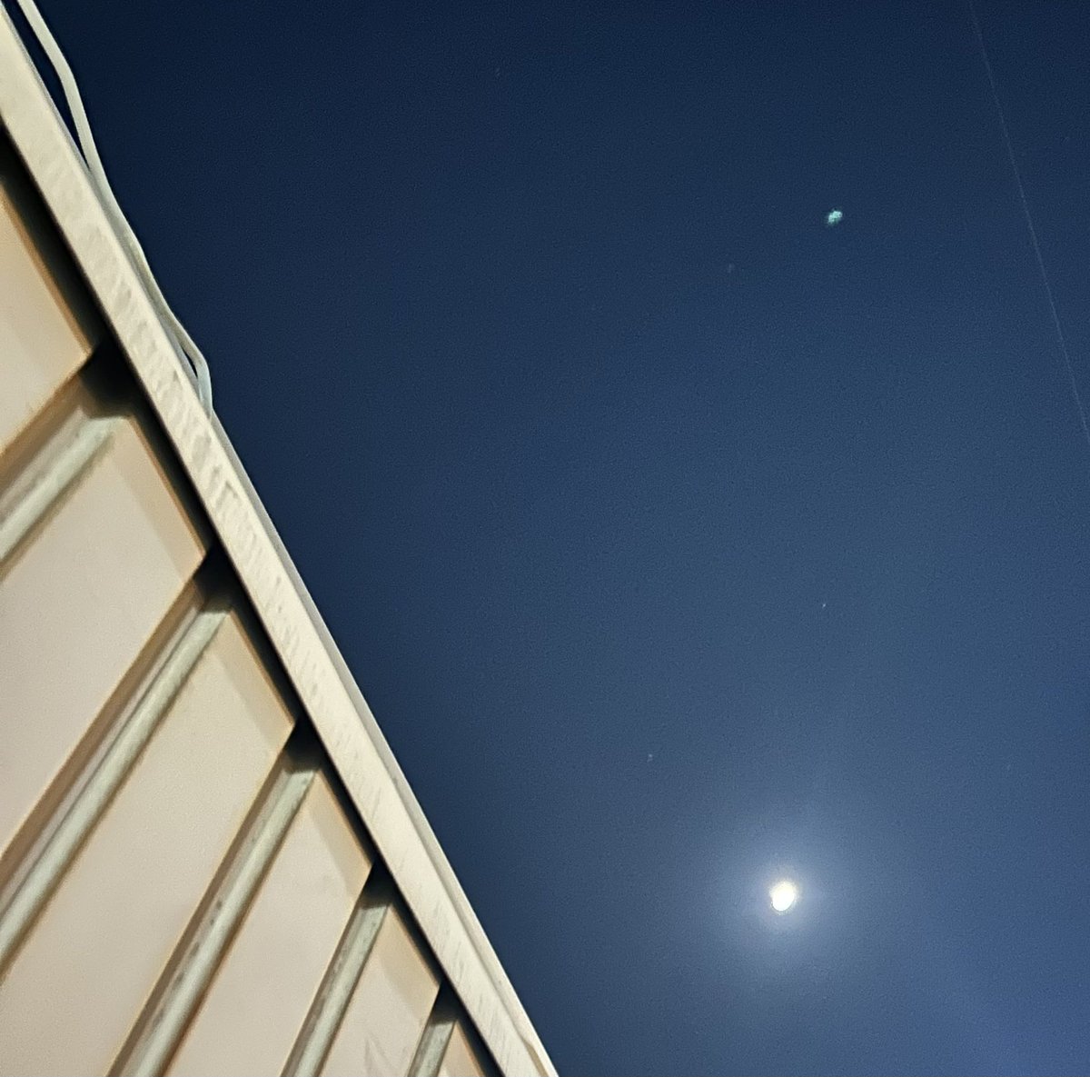 山本アイ子 tweet media