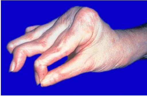 Dr. August Bones tweet media